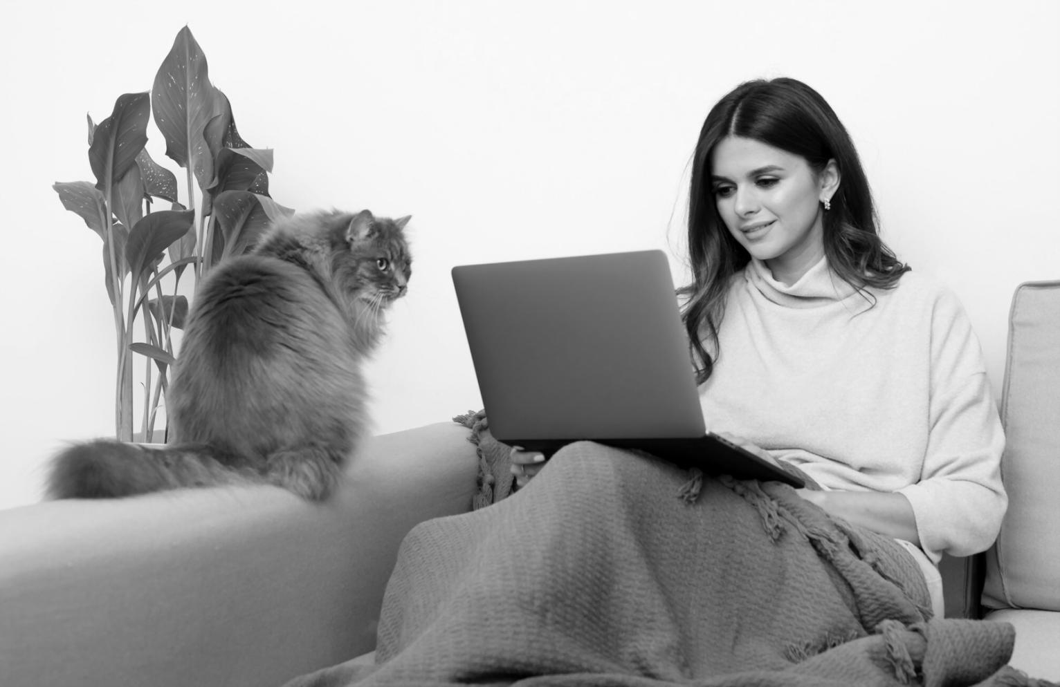 Students collaborating on financial analysis project using laptops and market data